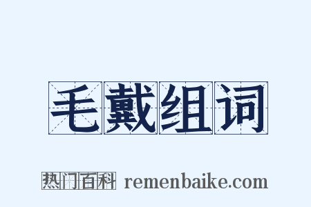 毛戴组词是什么意思的图片